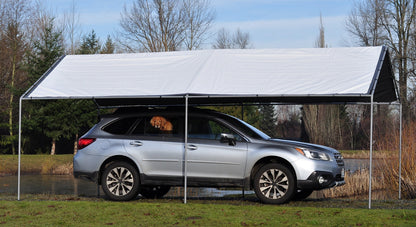 DRY TOP 73102 Canopy Set, 10' x 20', White