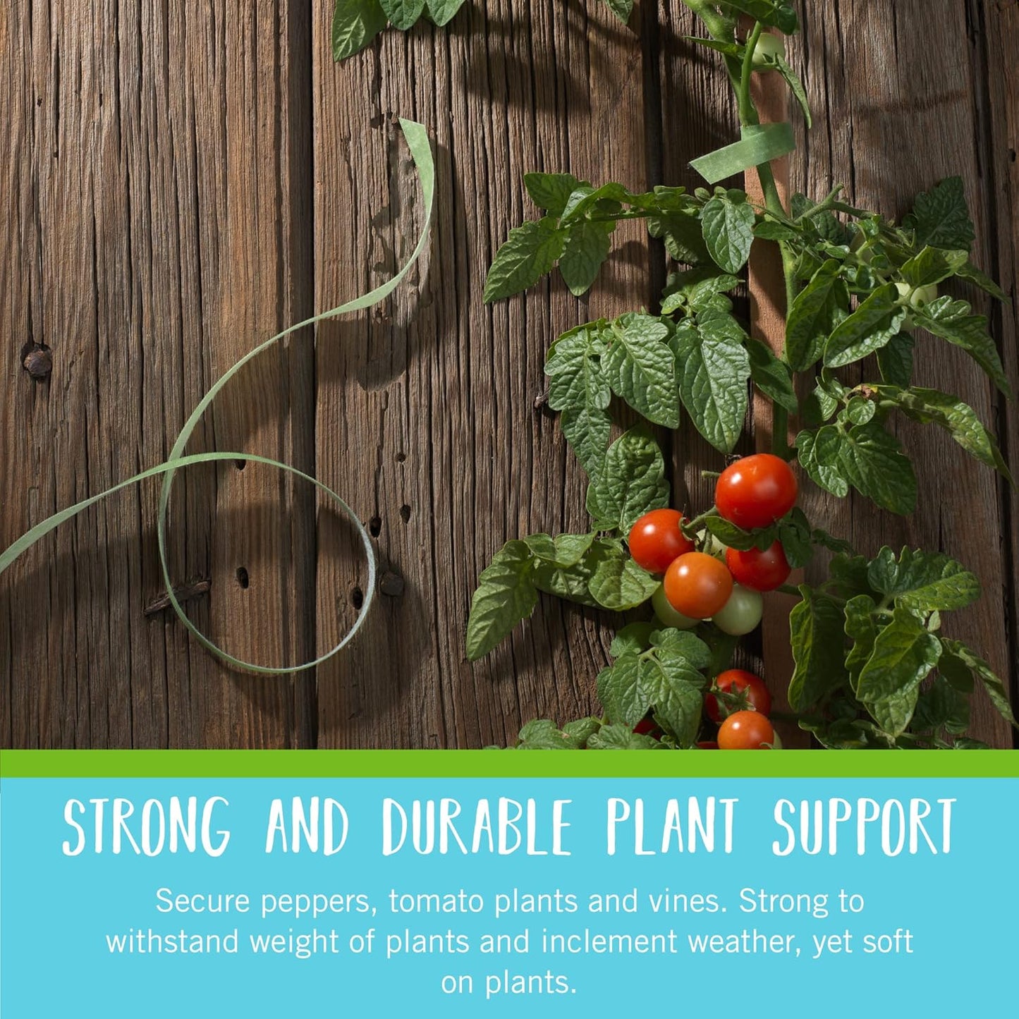 VELCRO Brand Garden Ties - Reusable Plant Supports for Effective Growing | 50 ft x 1/2 in, Green-Recycled Plastic