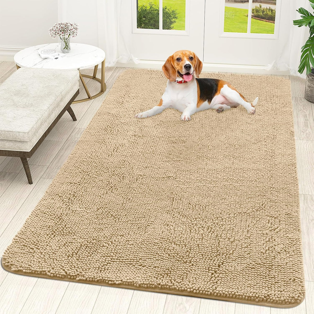 OLANLY Dog Door Mat - Absorbent Non-Slip Chenille Mat for Muddy Paws | 59x35 Inches, Beige