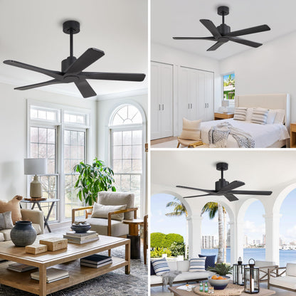 WINGBO 48" DC Ceiling Fan No Light - 5 Carved Solid Wood Blades, 6-Speed Reversible DC Motor, Ceiling Fan without Lights for Living Room Bedroom Kitchen Patio, Indoor and Outdoor, Matte Black