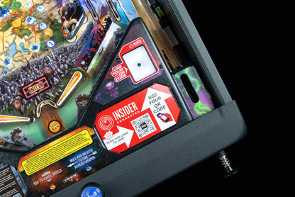 Stern Pinball Dungeons & Dragons with Insider Connected, Pro Edition Arcade Pinball Machine