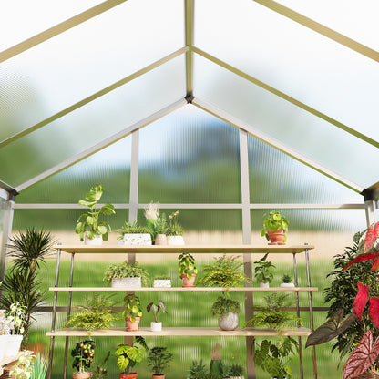 6×6 FT Greenhouse, Large Walk in Greenhouses for Outdoors and Garden Planting, Polycarbonate Greenhouse with Enhanced Aluminum Frame, Green Houses with Quick Setup Structure and Roof Vent, Silver