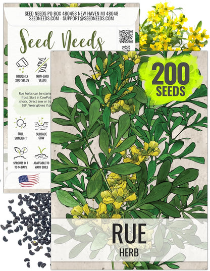 (1 Pack) Seed Needs Rue Seeds for Planting - Non-GMO Heirloom & Untreated Perennial Herb Seed to Plant a Home Grown