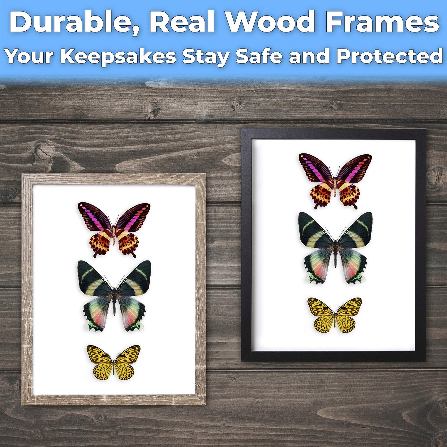 Super-Sturdy, 11x14 Gray Shadow Box Frame With Glass 2pk. Fill Large Rustic Wood Memory Box With Wedding Flowers, Jerseys, Pet Photos, Ticket Stubs, or Medals. Great Seashell Display Case