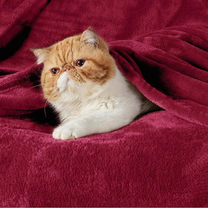 Bedsure Flannel Fleece Luxury Blanket - Cozy Plush Microfiber in Red | Queen Size (90"x90")