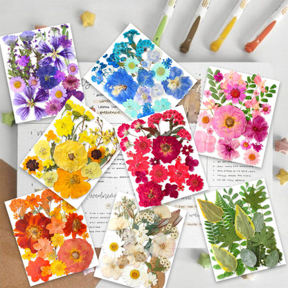 269PCS Dried Pressed Flowers for Resin Craft - YouthBro Real Nature Flowers Set with Butterfly Stickers for DIY Jewelry Nail Scrapbook Art Floral Decors Iridescent