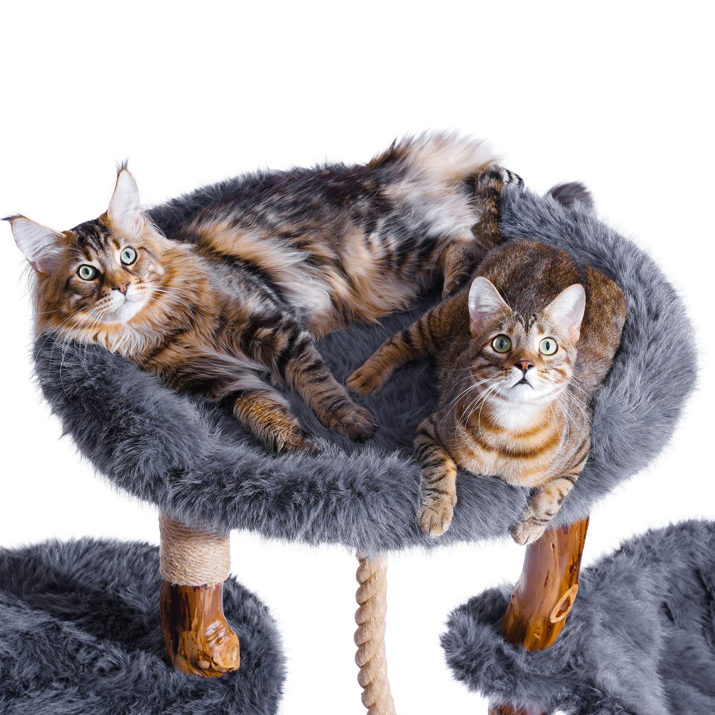 Aesthetic Cat Tree Tower for Large Cats, Large Cat Tree for Maine Coon Indoor Cats with Faux Fox Fur, Solid Wood Sisal Scratching Post, Hammock, Perches, Platform, Toy Ball