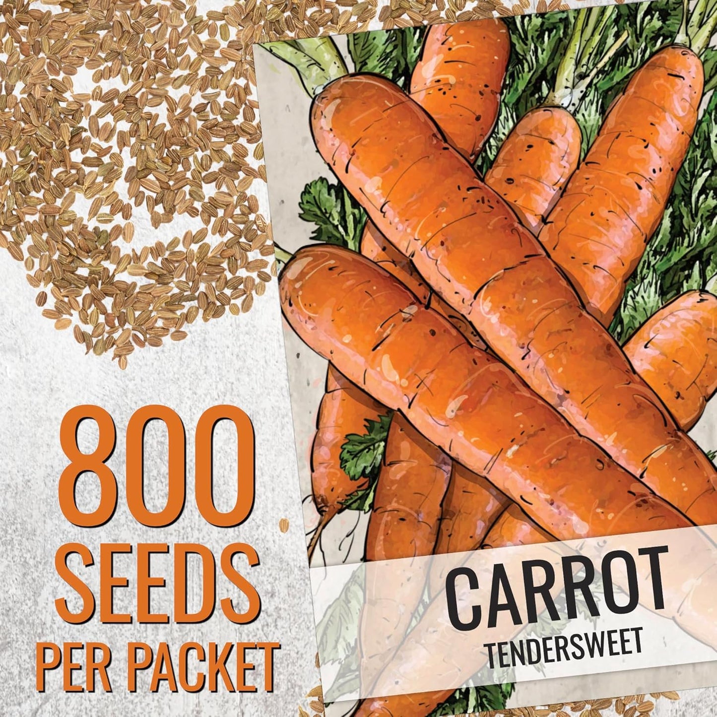 (1 Pack) Seed Needs Carrot Seeds for Planting Tendersweet Carrots - Non-GMO Heirloom & Untreated Vegetable Seed