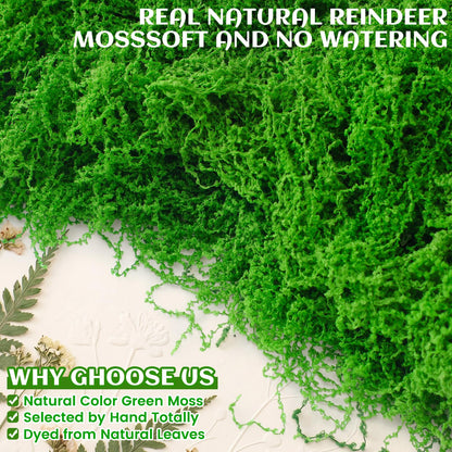 Suncalla Green Artificial Moss for Crafts 43.32oz/2.7lb Fake Green Moss Faux Grass for Potted Plants Indoor Bulk Large Capacity Fairy Garden DIY Decoration Model Making Walls Table Decors Home