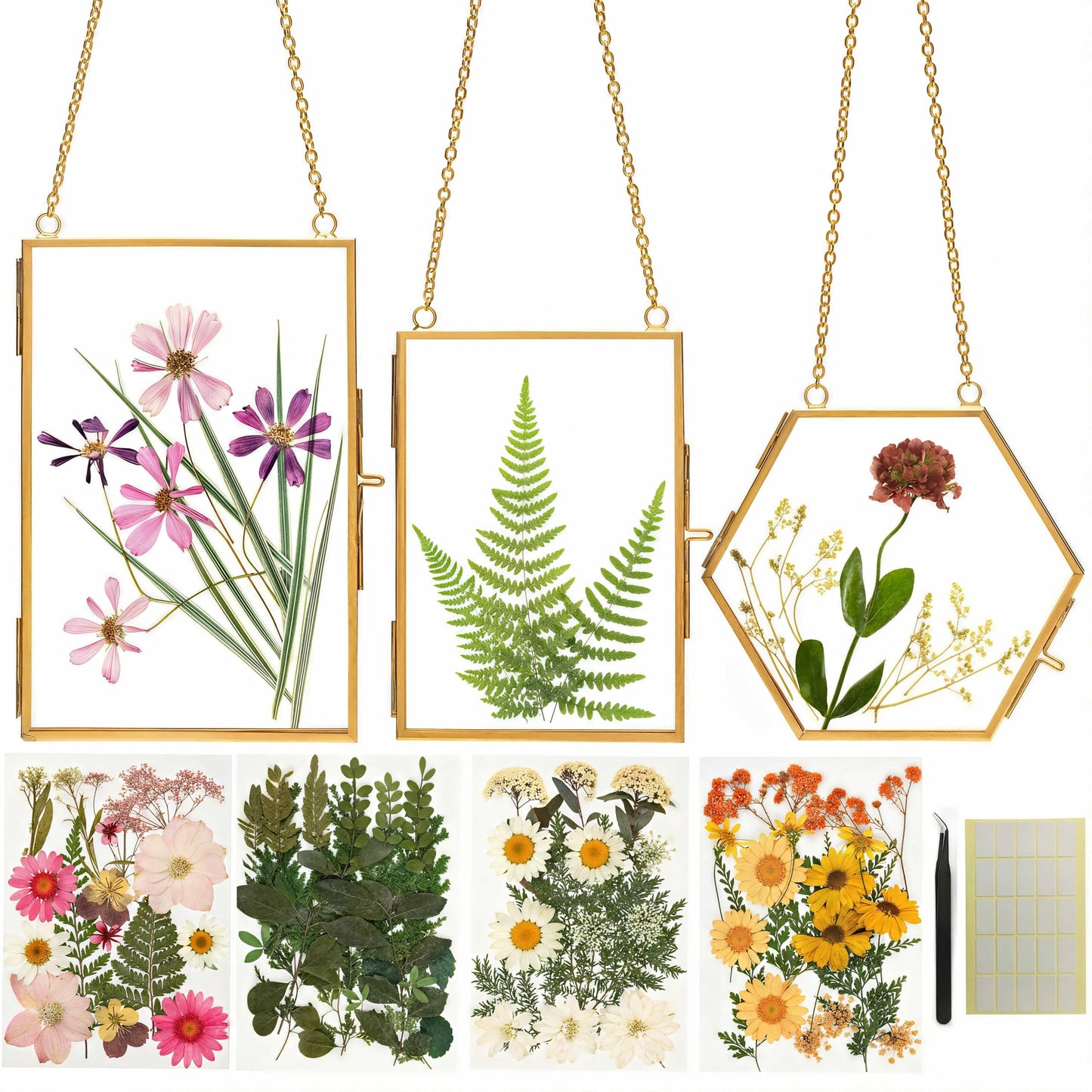 Relaxing Garden Pressed Flower Craft Kit for Adults & Women, DIY Floating Double Glass Frame Kit with Real Dried Flowers, Handmade Gift Art Project for Home Décor, Keepsake & Creative Crafts