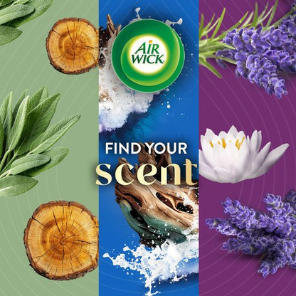 Air Wick Vibrant Plug in Scented Oil Refill, Infused with Essential Oils, Plug in Air Fresheners for Home, Winter Woods & Frosted Ivy, 5 ct