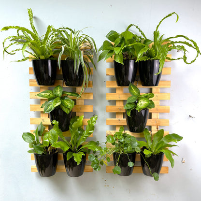 LalaGreen Bundle- 10 Pack, 4 Inch Black Self Watering Plant Pot + 2 Pack, 35.4 Inch Wooden Plant Holder Modern Indoor Hanging Wall Mount Vertical Hydroponic Garden Display Large Home Air Plant Decor