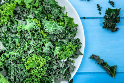 Axel's Garden Seeds 2 Packets Curled Blue Kale Seeds for Planting Plant & Grow Heirloom Non-GMO Curled Blue Vates Kale