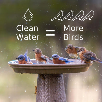Microbe-Lift Bird Bath Cleaner - Two-in-One Natural Formula for Clear Water - 4 Oz - Safe for Birds, Fish & Frogs