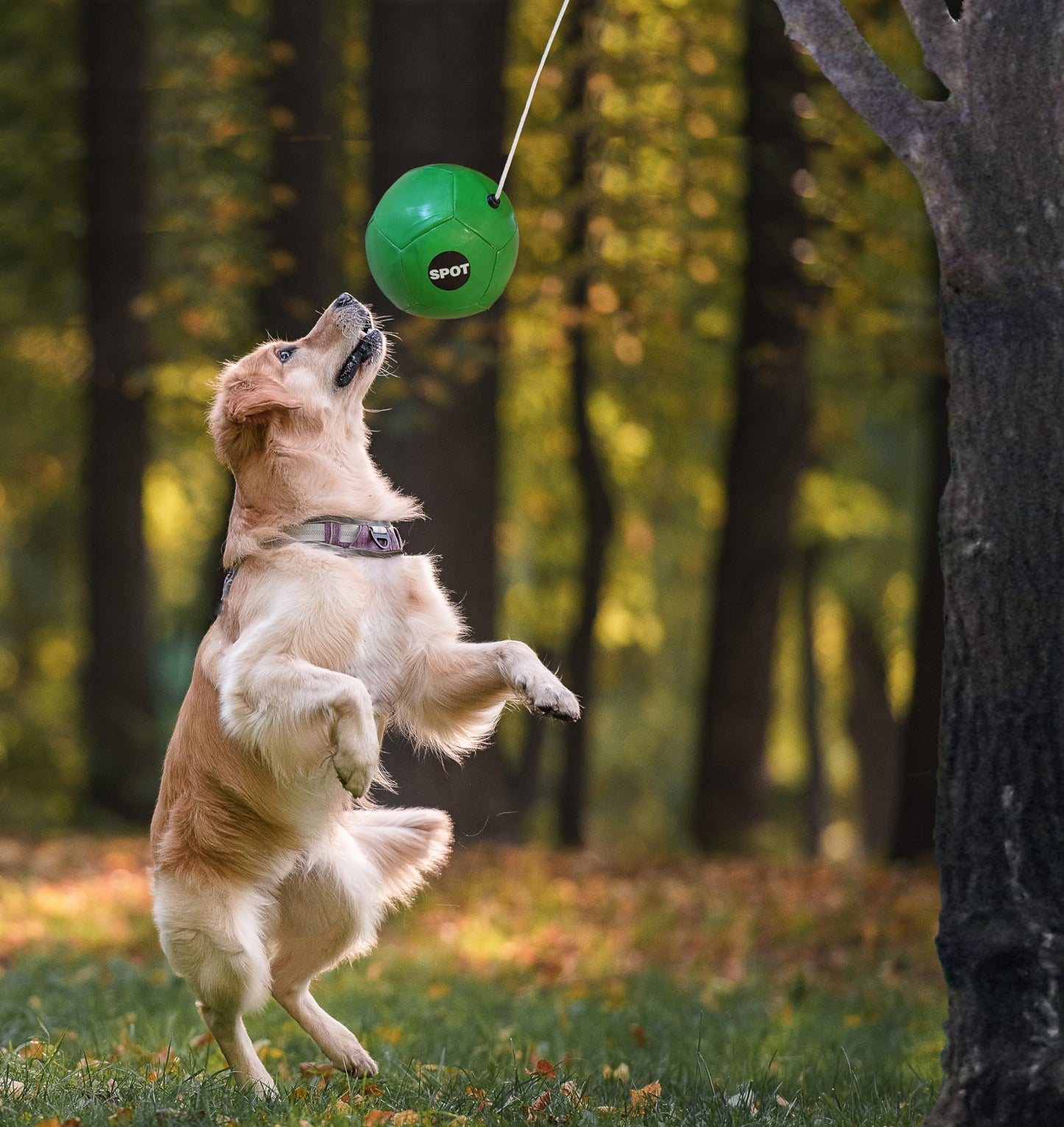 SPOT Ethical Products Tether Ball W-Rope