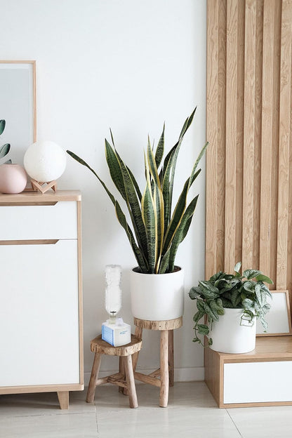 Comfort Zone Ultrasonic Personal Portable Humidifier, 6 Hour Operation, Whisper Quiet, Travel, White (CZHD20)