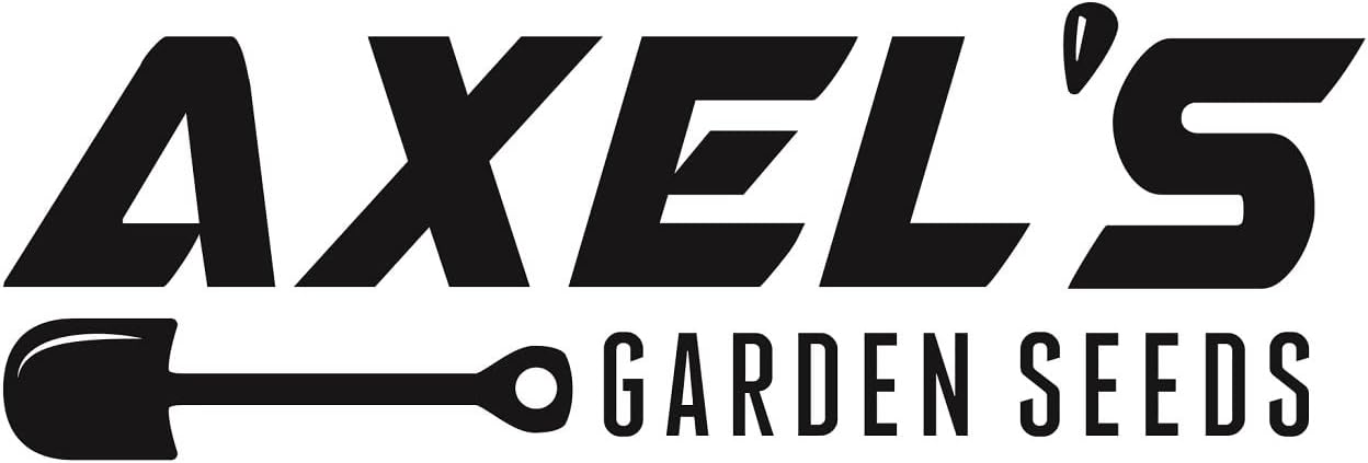Axel's Garden Seeds 2 Packets Red Russian Kale Seeds for Planting Plant & Grow Heirloom Non GMO Red Russian Kale