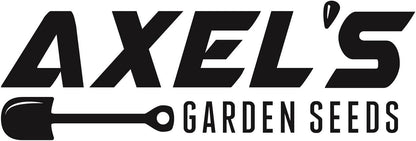 Axel's Garden Seeds 2 Packets Red Russian Kale Seeds for Planting Plant & Grow Heirloom Non GMO Red Russian Kale