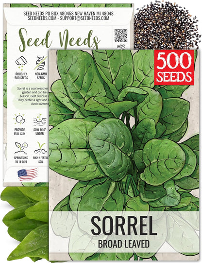 (1 Pack) Seed Needs Large Leaf Sorrel Seeds for Planting - Heirloom Non-GMO & Untreated Medicinal or Culinary Herb