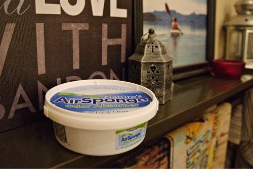 Delta Nature's Air Sponge Odor Absorber Unscented Plastic Tub 1/2 Lb.