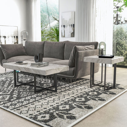 Furniture of America Willy Modern Storage Faux Marble Top 2-Piece Coffee and End Table Set for Living Room, Gray