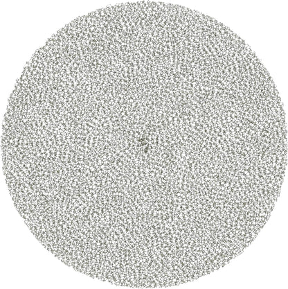 ProTeam 510184 Foam Media Replacement Filter for Dome Filter, Black, 5.625 in.