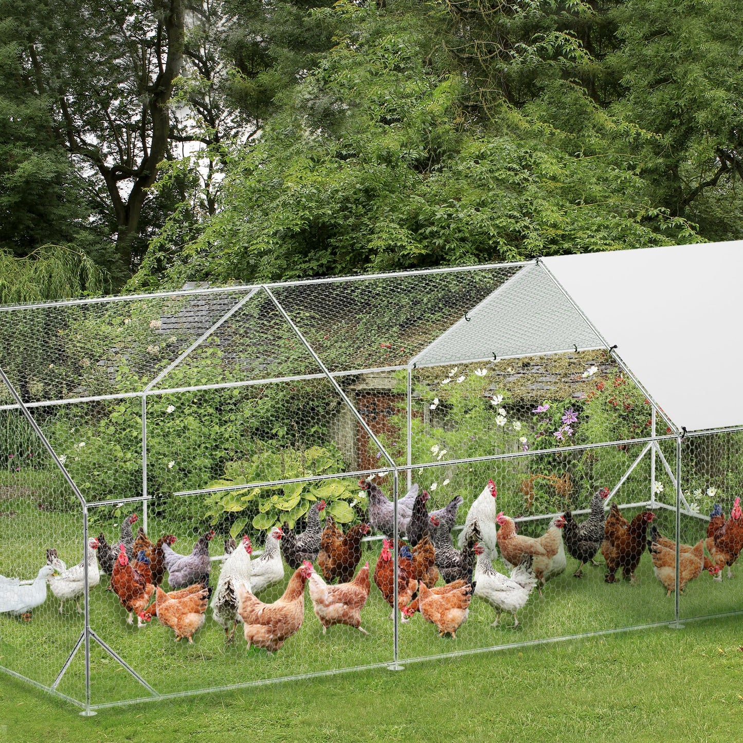 Large Metal Chicken Coop with Run, 9.8x19.7x6.6 Ft Walk in Chicken Runs for Outdoor Backyard, Heavy Duty Poultry Pen with Security Lock & Anti-UV Cover, Tri-Supporting Wire Mesh