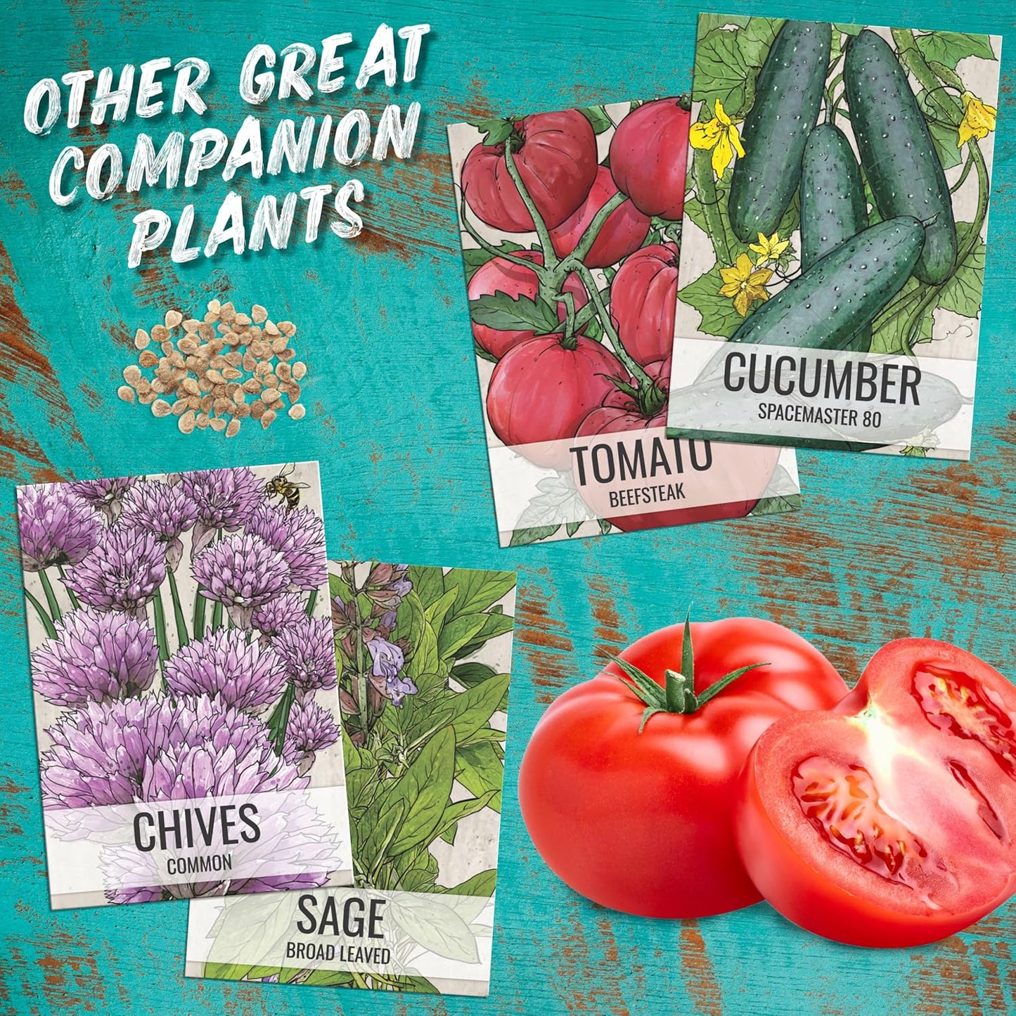 (1 Pack) Seed Needs Lovage Seeds for Planting - Non-GMO Heirloom & Untreated Herbs to Plant a Medicinal/Culinary Home