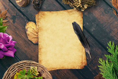 Better Office Products Stationery Paper, 100 Sheets, Aged Look Vintage Antique Old Fashion Parchment Paper, Letter Size 8.5 x 11 inch, Double Sided Printing Paper, 6 Designs, 100 Pack