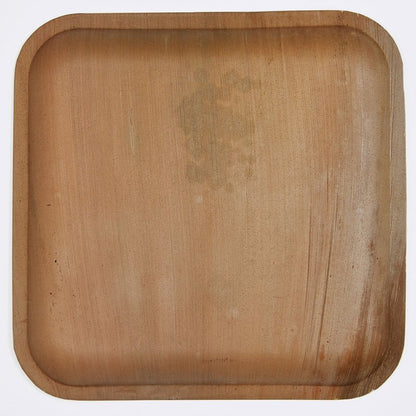 Atmos Green 100 pack 10" Square Palm Leaf Dinner Plate Compostable disposable premium heavy duty Eco-Friendly Microwave Refrigeration safe Bamboo like Wedding Events Party