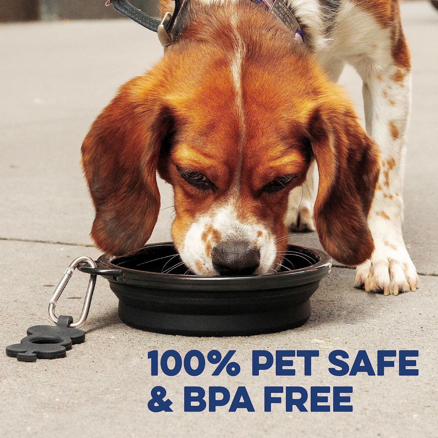 Bonza X-Large Collapsible Dog Bowl, 1500 ML Reinforced Rim, with Carabiner - Dog Travel Bowl - Portable, Collapsible - Hiking, Car, Traveling
